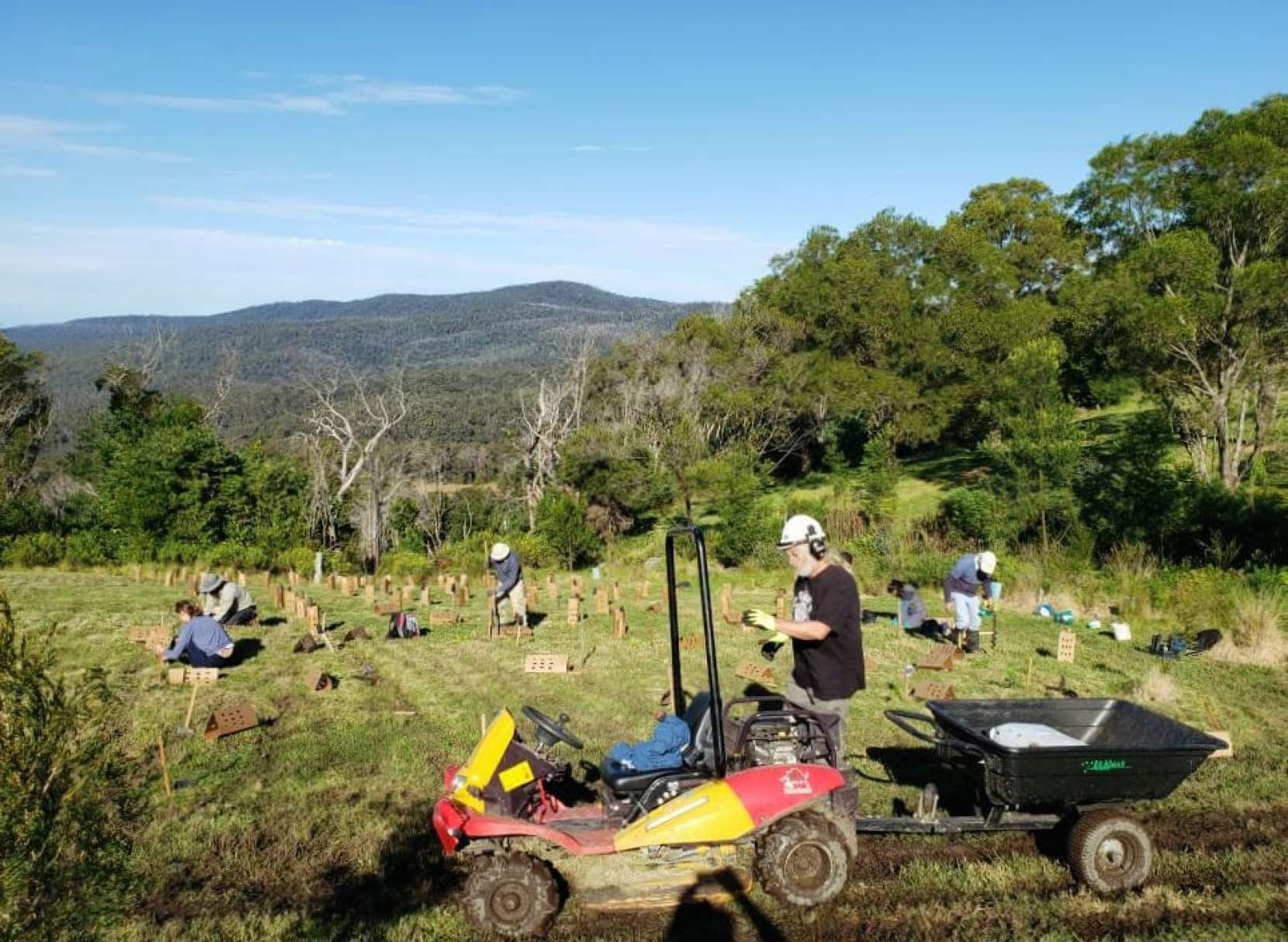 BLERF planting