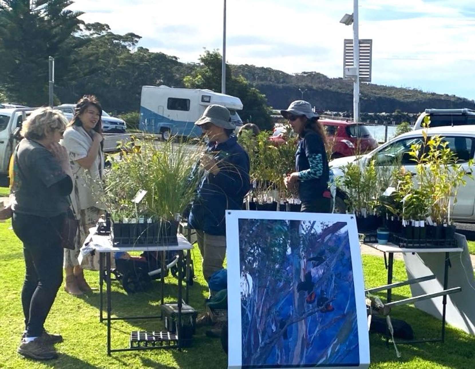 NAIDOC 2024 stall